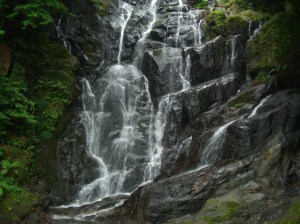 ６月１３日の白糸の滝