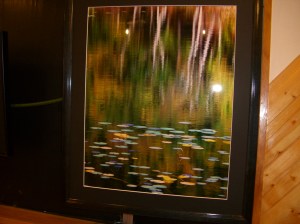 水辺の彩り・栃木県日光市