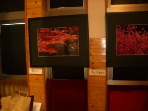 雪もみじ・前原市日向峠