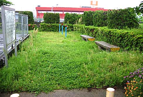 神在第8公園　改善前