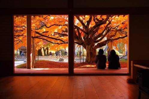 2010_雷山千如寺01