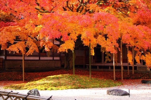 2010_雷山千如寺02