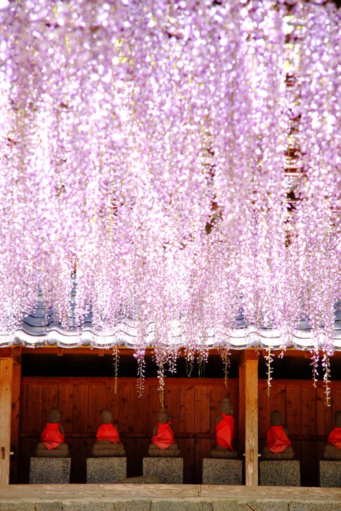2013-井原住吉神社