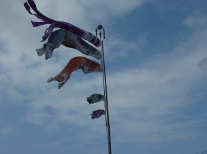 鯉のぼりが泳ぐ（４月１７日撮影）