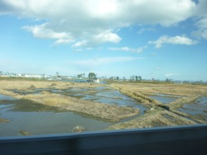 名取市付近の様子