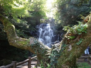 萬龍楓（ばんりゅうかえで）から見た白糸の滝