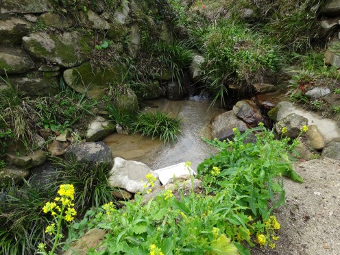 敷地内には清流のせせらぎの音も聞こえてきます