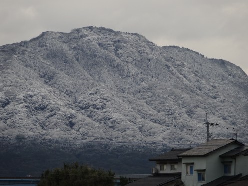 糸島には珍しい雪景色