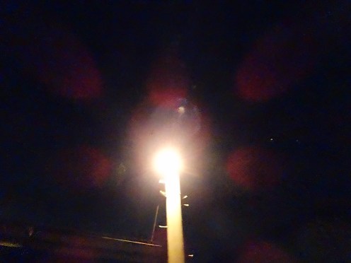 該当の電柱(2月9日午前2時35分撮影)