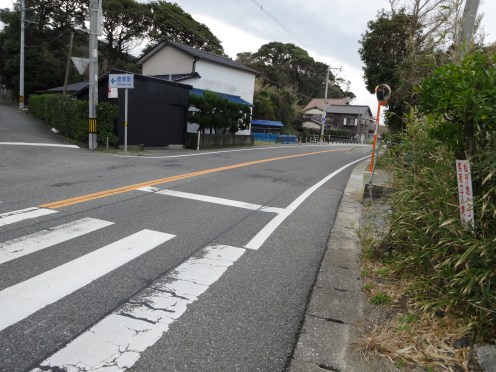 木の繁みで見通しの悪い横断歩道（２月１０日撮影）