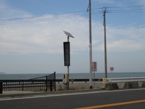 カーブ手前に設置してある「速度落とせ」表示板