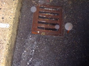 溜めますに少しずつ流れ込んでいる様子（６月２日撮影）