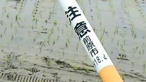 カーブミラーには設置年月が記載（６月２２日撮影）