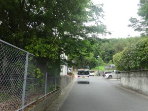 樹木が市道に大きくはみ出している二丈武・迫団地公園（６月７日）