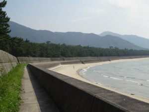 延々と続く防風柵（７月２９日撮影）