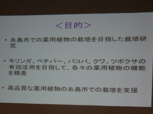 薬用植物で生薬開発（７月１２日撮影）