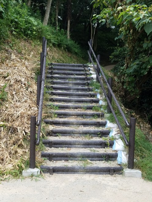 すっきりなった階段