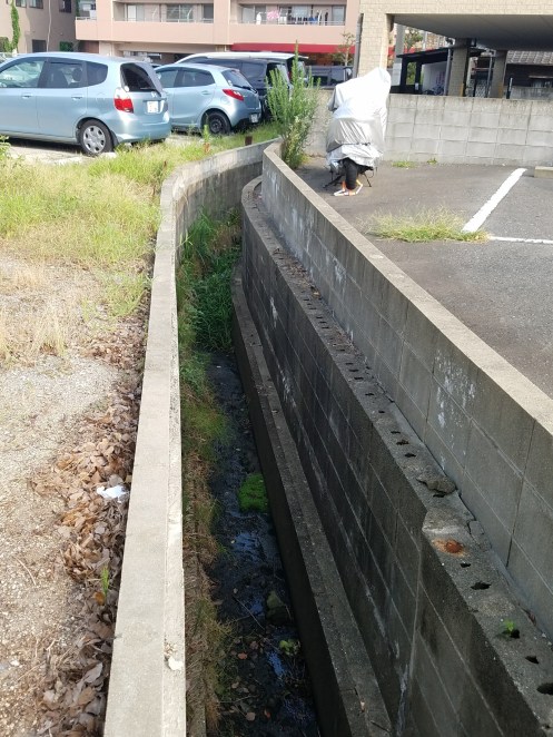 刈り取られてスッキリなった水路