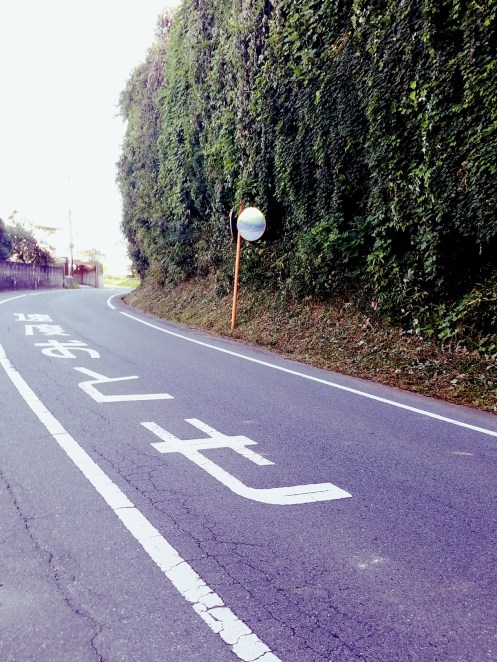 法面がスッキリ刈られた該当場所