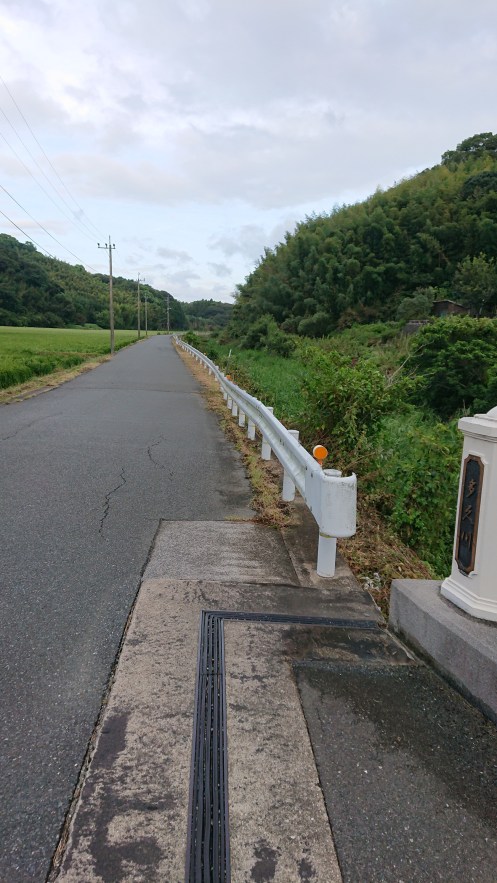 雑草刈り取り後の市道